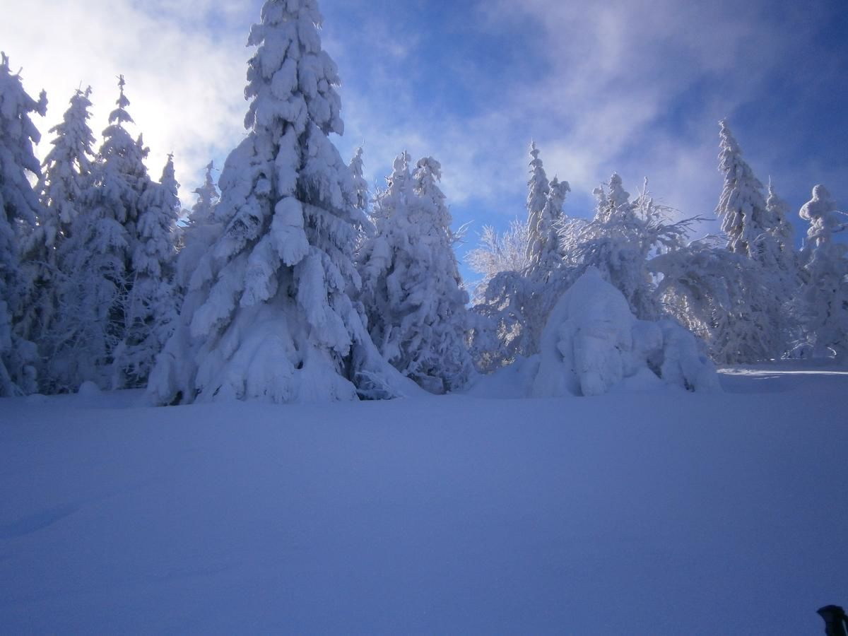 Отель Morozko Славское-21