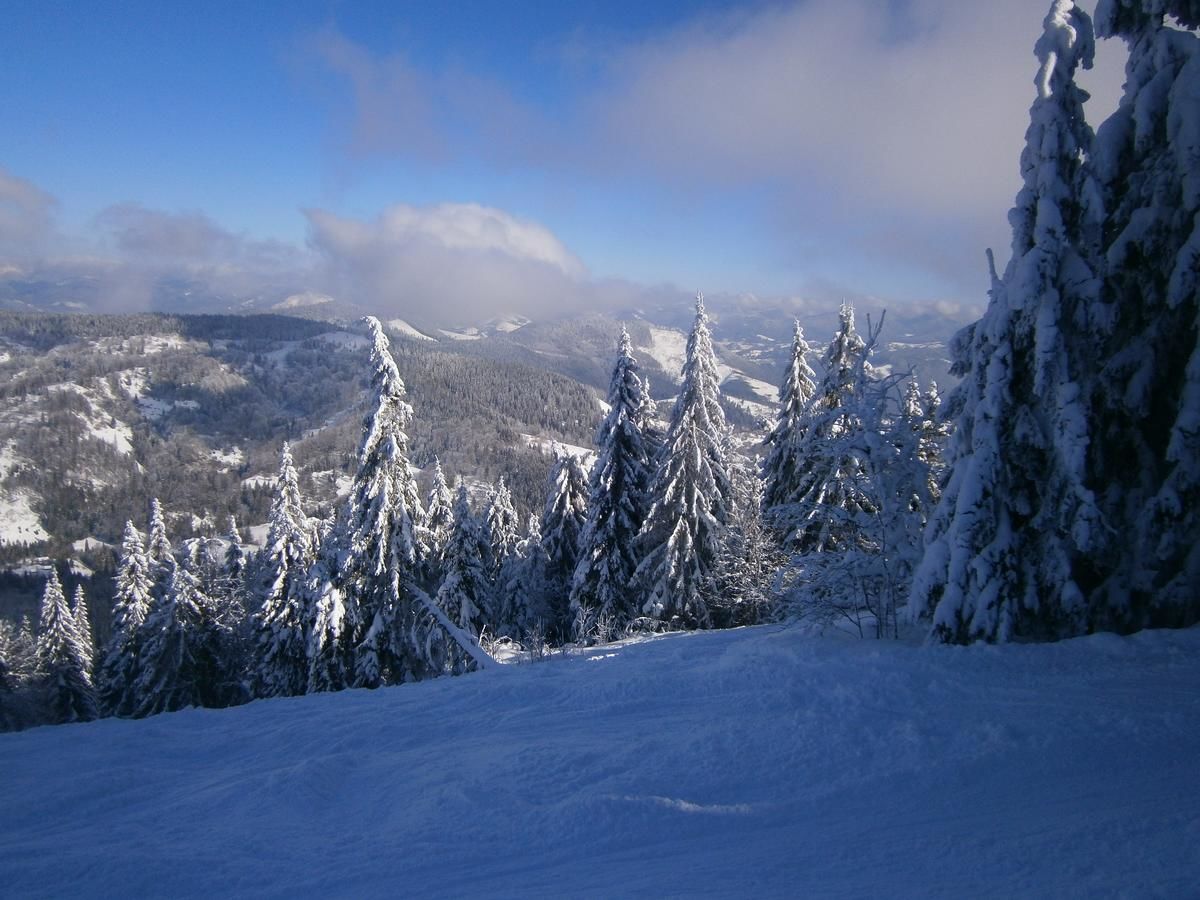 Отель Morozko Славское-34